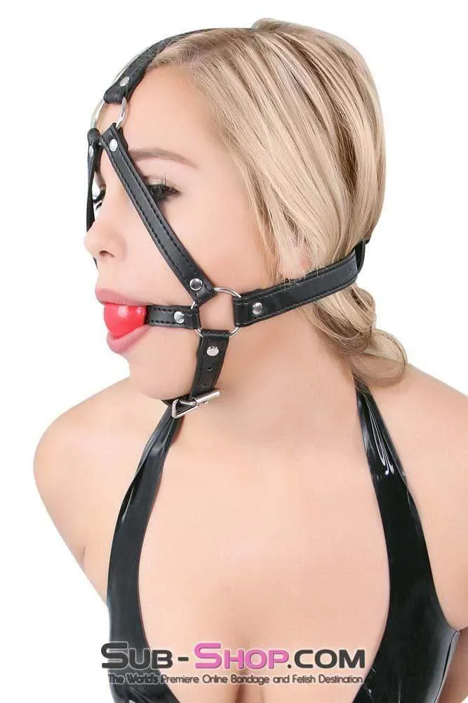 8993DL      Red Rubber Ballgag Bondage Trainer - SPECIAL OFFER!