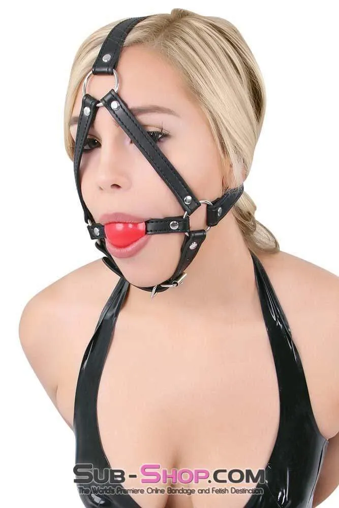 8993DL      Red Rubber Ballgag Bondage Trainer - SPECIAL OFFER!