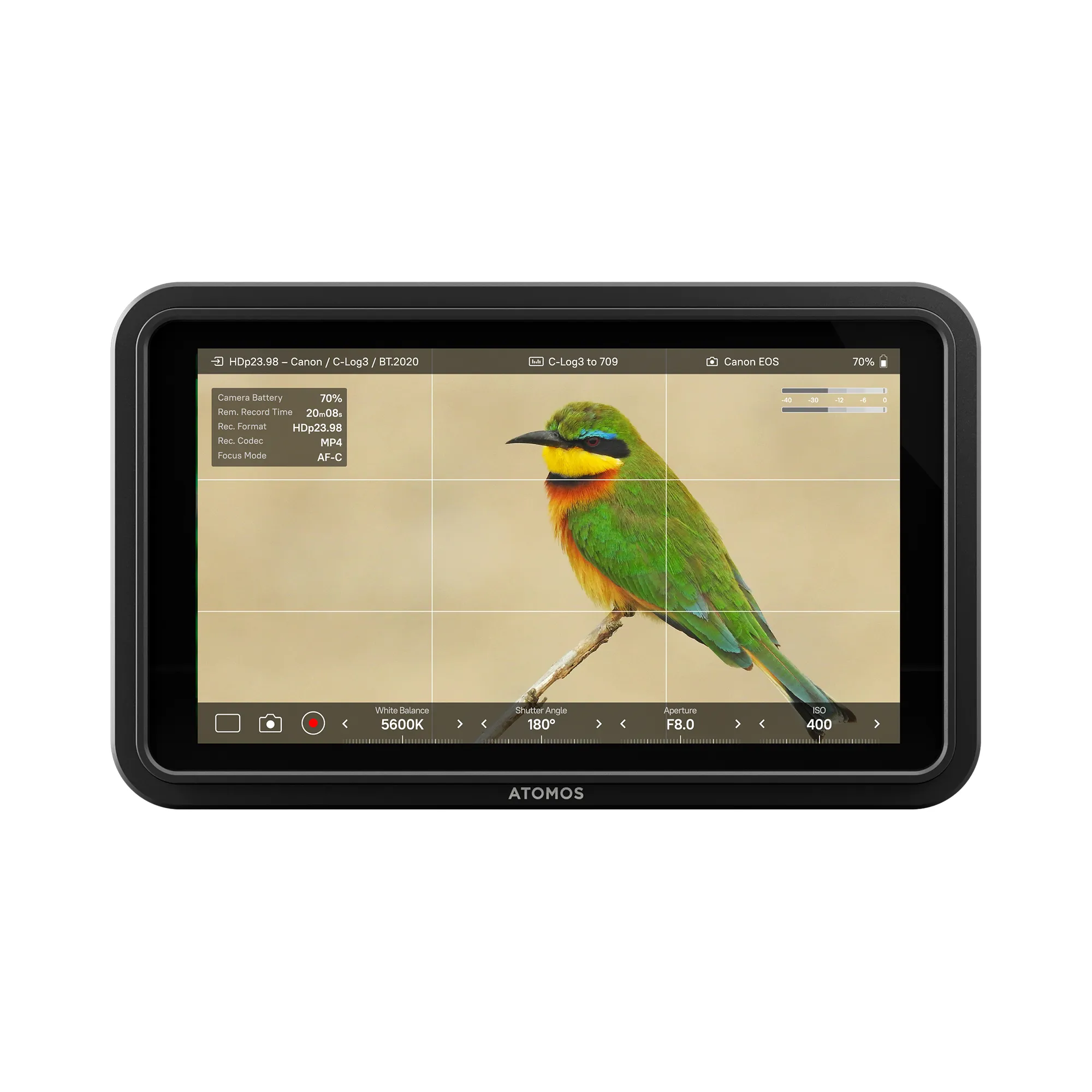 Atomos Shinobi II 5.2" HDMI HDR Monitor