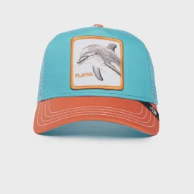 Dolphin Fan - Turquoise